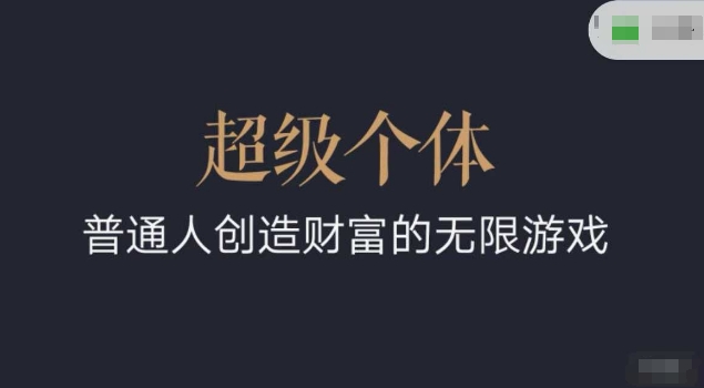 超级个体2024-2025翻盘指南，普通人创造财富的无限游戏-忧忧资源网