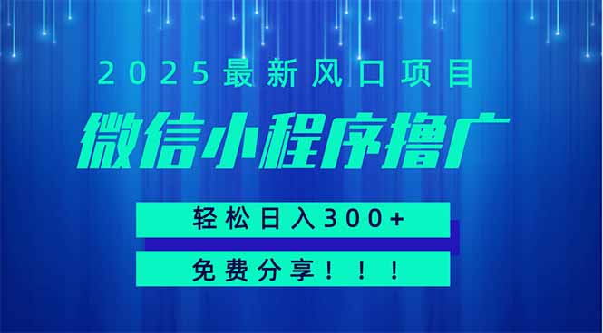 微信小程序撸广，最新风口项目，日入300+ 免费分享 可批量操作 小白可…-忧忧资源网