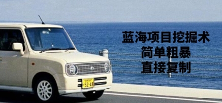 蓝海项目挖掘术，简单粗暴，直接复制-忧忧资源网
