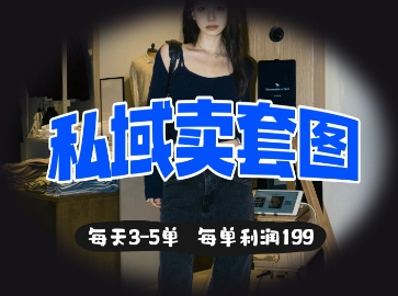 私域卖套图每天3-5单，每单利润99-忧忧资源网