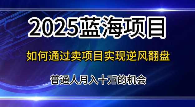 2025蓝海项目，普通人如何通过卖项目实现逆风翻盘，月入10个【揭秘】-忧忧资源网