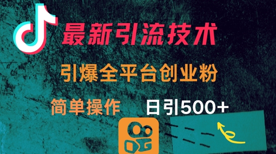 最新引流方法，引爆全平台的一个创业粉，简单操作日引300+-忧忧资源网