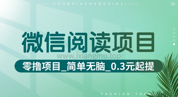 微信阅读项目_零撸项目+简单无脑+0.3元起提(六大平台合集汇总)-忧忧资源网