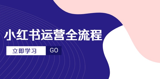 小红书运营全流程，爆款选题文案，视频制作技巧，进阶达人宝典-忧忧资源网