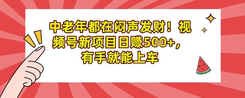 中老年都在闷声发财，视频号新项目日入多张，有手就能上车-忧忧资源网