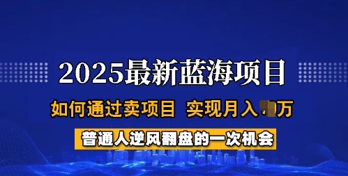 2025蓝海项目，普通人如何通过卖项目，实现月入过W，全过程【揭秘】-忧忧资源网