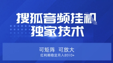 【搜狐音频挂G】独家技术，可矩阵可放大，红利期稳定月入8k【揭秘】-忧忧资源网