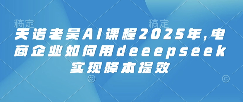 天诺老吴AI课程2025年，电商企业如何用deeepseek实现降本提效-忧忧资源网