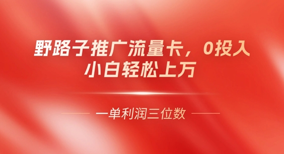 0门槛推广流量卡，一单收益上百，0投入，小白月入过W-忧忧资源网
