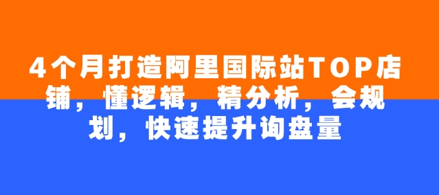 4个月打造阿里国际站TOP店铺，懂逻辑，精分析，会规划，快速提升询盘量-忧忧资源网