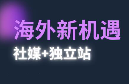 棕榈·2025出海新机遇(社媒+独立站)-忧忧资源网