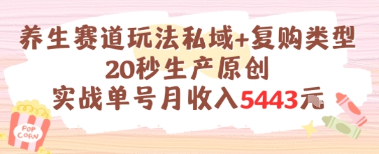 养生赛道玩法私域+复购类型，20秒生产原创实战单号月收入5k+-幽忧帮