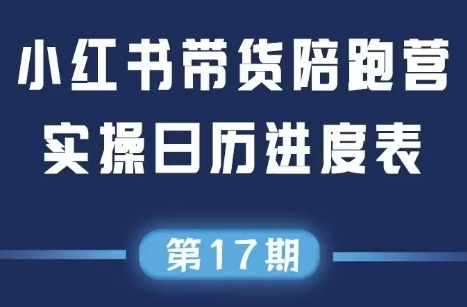 盗坤·抖音小红书视频号短视频带货与直播变现(11-17期)-幽忧帮