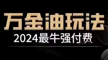 2024最牛强付费，万金油强付费玩法，干货满满，全程实操起飞(更新25年04月)-忧忧资源网