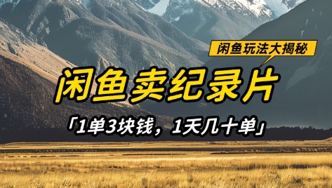 闲鱼卖纪录片1单3块钱，1天几十单，项目稳定有潜力-忧忧资源网