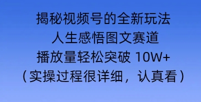 Deepseek和即梦结合，做一个【人生图文感悟】的视频号-忧忧资源网