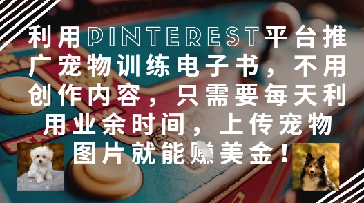 利用Pinterest平台推广宠物训练电子书，不用创作内容，只需要每天利用业余时间，上传宠物图片就能挣美金!-忧忧资源网
