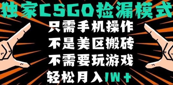 CSGO自动捡漏项目，最新独家玩法，不是美区搬砖，不需要了解和玩游戏，新手小白轻松月入1W+【揭秘】-幽忧帮
