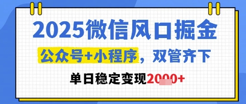 2025微信风口掘金，公众号+小程序双管齐下，单日稳定变现1k+【揭秘】-忧忧资源网