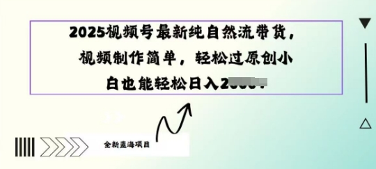 2025视频号最新纯自然流带货， 视频制作简单，轻松过原创小 白也能轻松操作-忧忧资源网