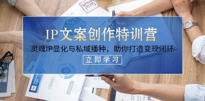 IP文案创作特训营，灵魂IP显化与私域播种，助你打造变现闭环(14节课)-忧忧资源网