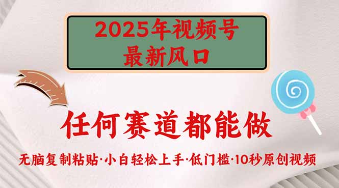 （14453期）2025年视频号新风口，低门槛只需要无脑执行-忧忧资源网