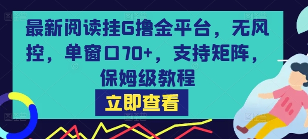 最新阅读挂G撸金平台，无风控，单窗口70+，支持矩阵，保姆级教程【揭秘】-幽忧帮