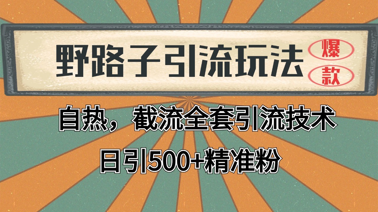 2024首发野路子引流玩法截流自热全平台打法，全自动引流【日引2000+精准客户】-幽忧帮
