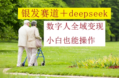 银发赛道+deepseek数字人全域变现，小白也能操作-忧忧资源网