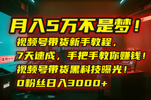 月入5万不是梦！视频号带货新手教程，7天速成，手把手教你赚钱！视频号…-幽忧帮