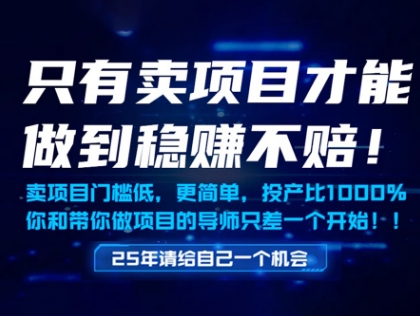 只有卖项目才能做到稳挣不赔，门槛低，更简单，你也可以年入百个W【揭秘】-忧忧资源网