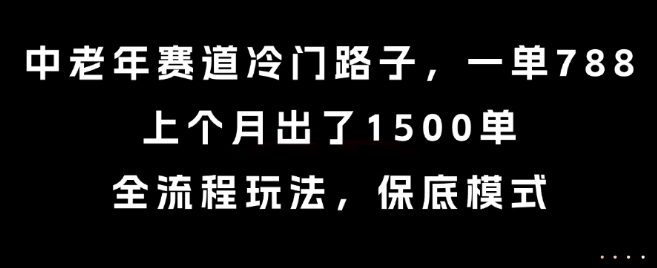 中老年赛道冷门路子，一单788，上个月出了1500单，全流程玩法，保底模式【揭秘】-幽忧帮