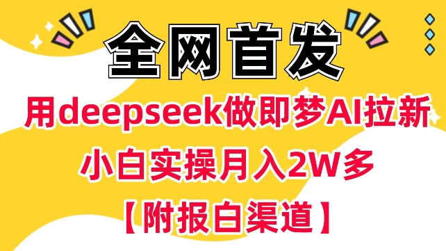 用deepseek做即梦Ai拉新 小白实操月入过W+【附报白渠道】-忧忧资源网
