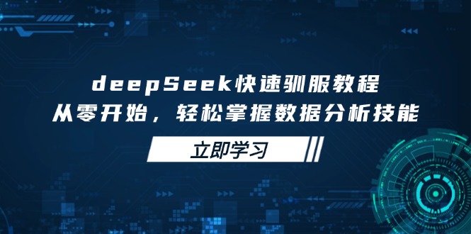 （14536期）deepSeek快速驯服教程，从零开始，轻松掌握数据分析技能-忧忧资源网