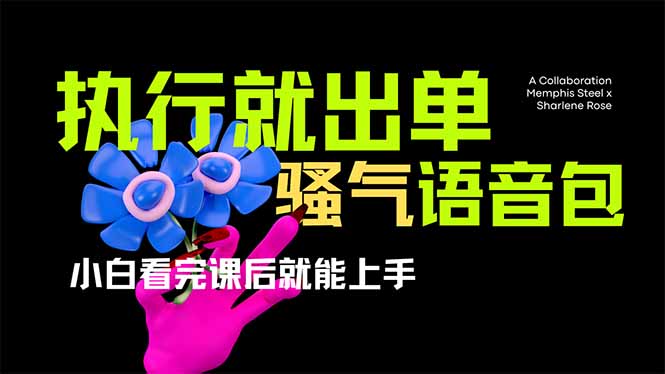 （14170期）爆火全网的开车导航骚气语音包,只要执行就出单，小白看完课程就能实操…-忧忧资源网