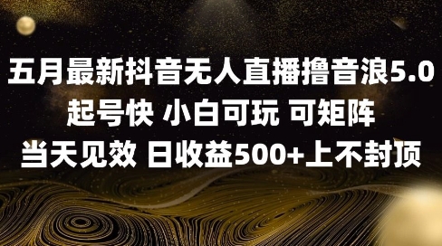 2025五月最新无人直播撸音浪单日产出5张+实操教程【揭秘】-忧忧资源网
