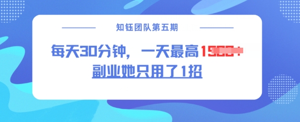 副业她只用了1招，每天30分钟，无脑二创，一天最高1.5k-忧忧资源网