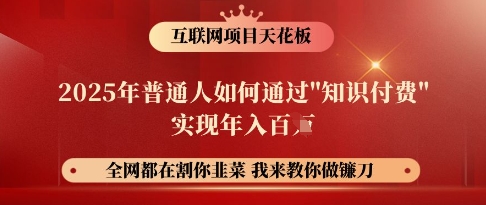 互联网项目天花板，2025年普通人如何通过知识付费实现年入百个【揭秘】-忧忧资源网
