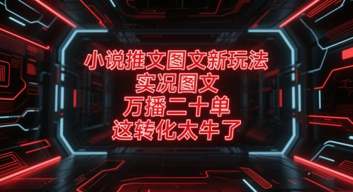 小说推文图文新玩法，实况图文，万播二十单，这转化太牛了！-幽忧帮