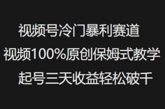 视频号冷门暴利赛道视频100%原创保姆式教学起号三天收益轻松破千-忧忧资源网