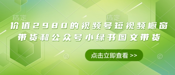 价值2980的视频号短视频橱窗带货和公众号小绿书图文带货-忧忧资源网