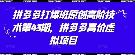 拼多多打爆班原创高阶技术第43期，拼多多高价虚拟项目-忧忧资源网