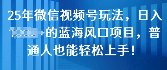 25年微信视频号玩法，日入几张的蓝海风口项目，普通人也能轻松上手!-忧忧资源网