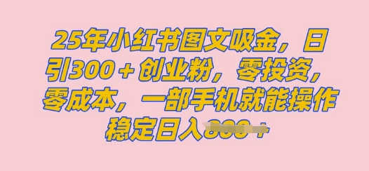 2025年小红书创业粉图文自热教程，日+300创业粉，单日变现多张，无脑操作，宝妈，小白抓紧冲-忧忧资源网