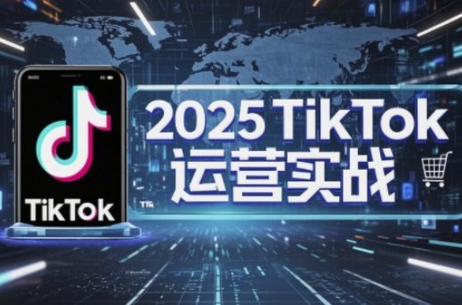 2025TikTok电商运营，掌握TikTok店铺运营核心技巧，实现低成本高转化-忧忧资源网