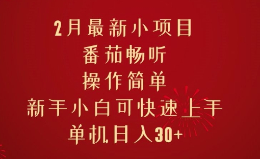2月最新小项目，番茄畅听，操作简单，新手小白可快速上手，单机日入30+-忧忧资源网