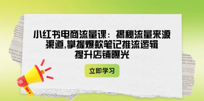 （14318期）小红书电商流量课：揭秘流量来源渠道,掌握爆款笔记推流逻辑,提升店铺曝光-忧忧资源网