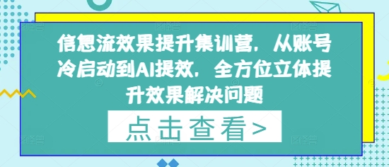 信息流效果提升集训营，从账号冷启动到AI提效，全方位立体提升效果解决问题-忧忧资源网