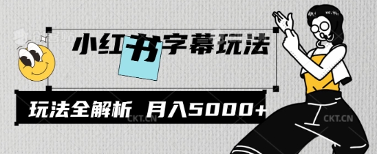 小红书字幕玩法，玩法全解析，月入2000+-忧忧资源网