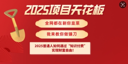 2025项目天花板普通人如何通过知识付费，实现财F自由【揭秘】-忧忧资源网